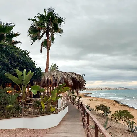 La Palmera Daire Torrevieja