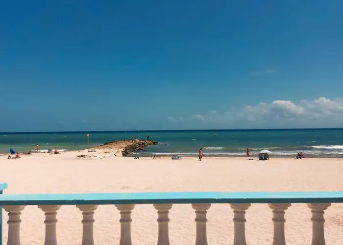 La Palmera * 托雷维耶哈